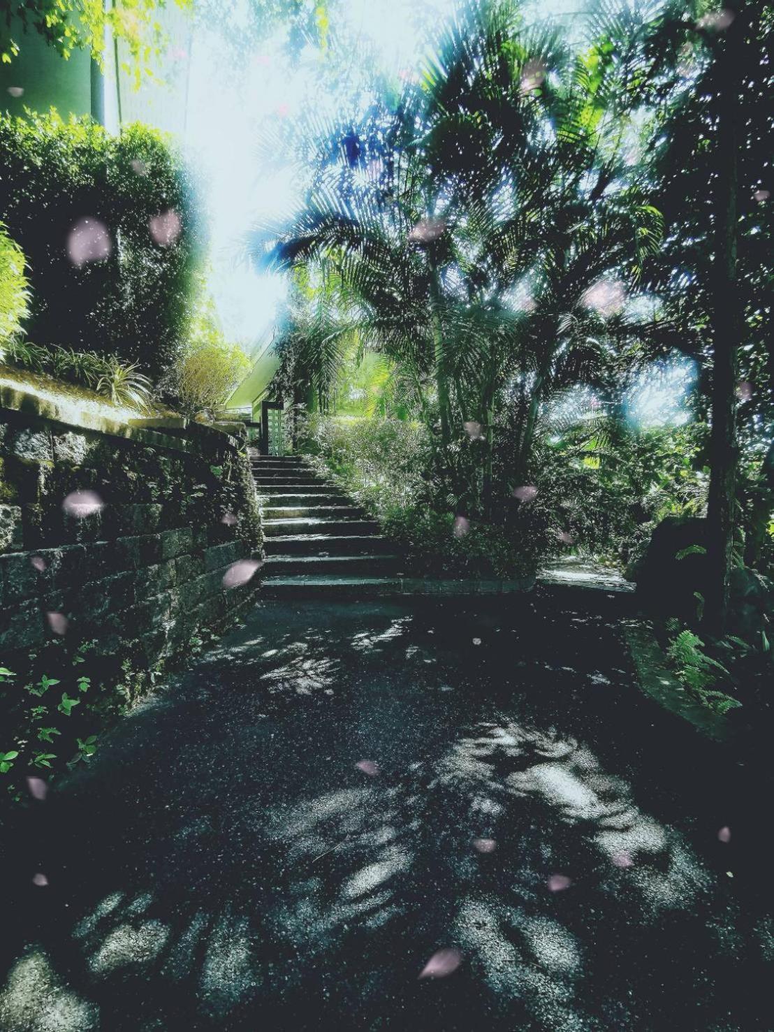 Bangnu Greenery Resort Takua Thung Exterior foto
