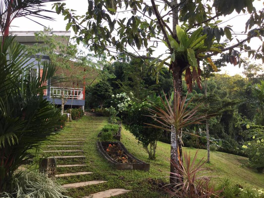 Bangnu Greenery Resort Takua Thung Exterior foto