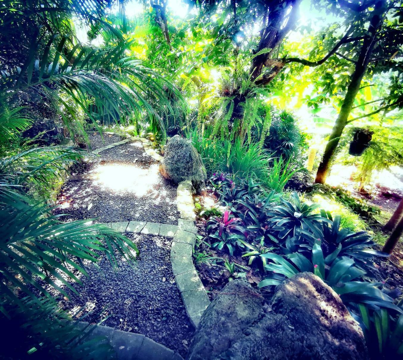 Bangnu Greenery Resort Takua Thung Exterior foto