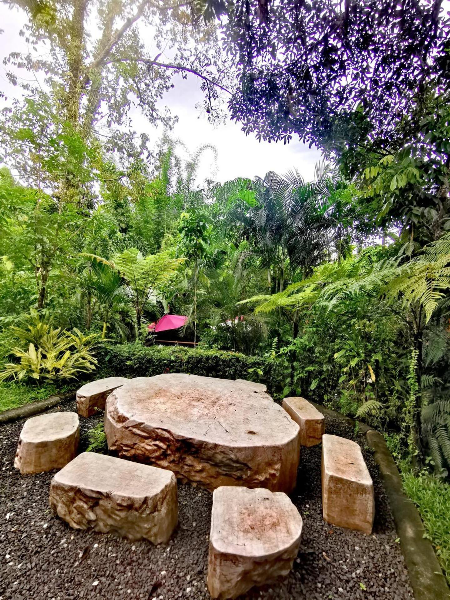 Bangnu Greenery Resort Takua Thung Exterior foto