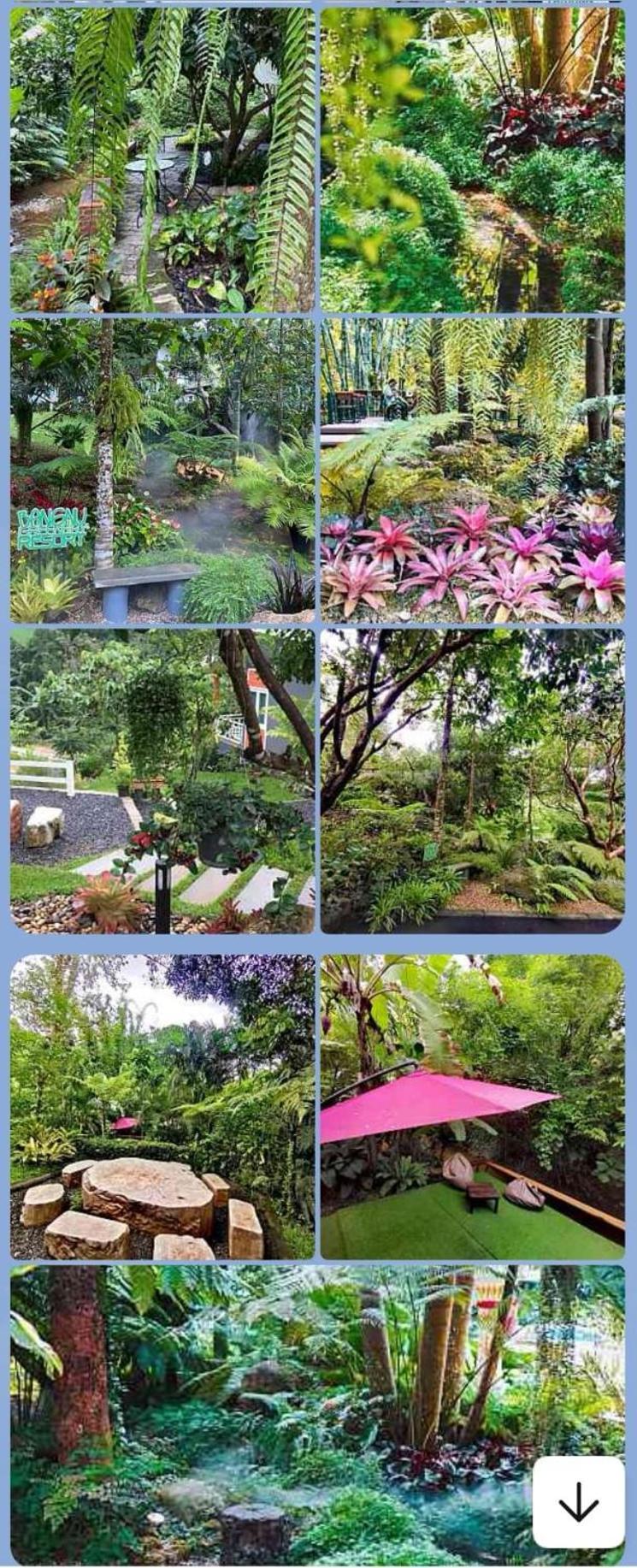 Bangnu Greenery Resort Takua Thung Exterior foto